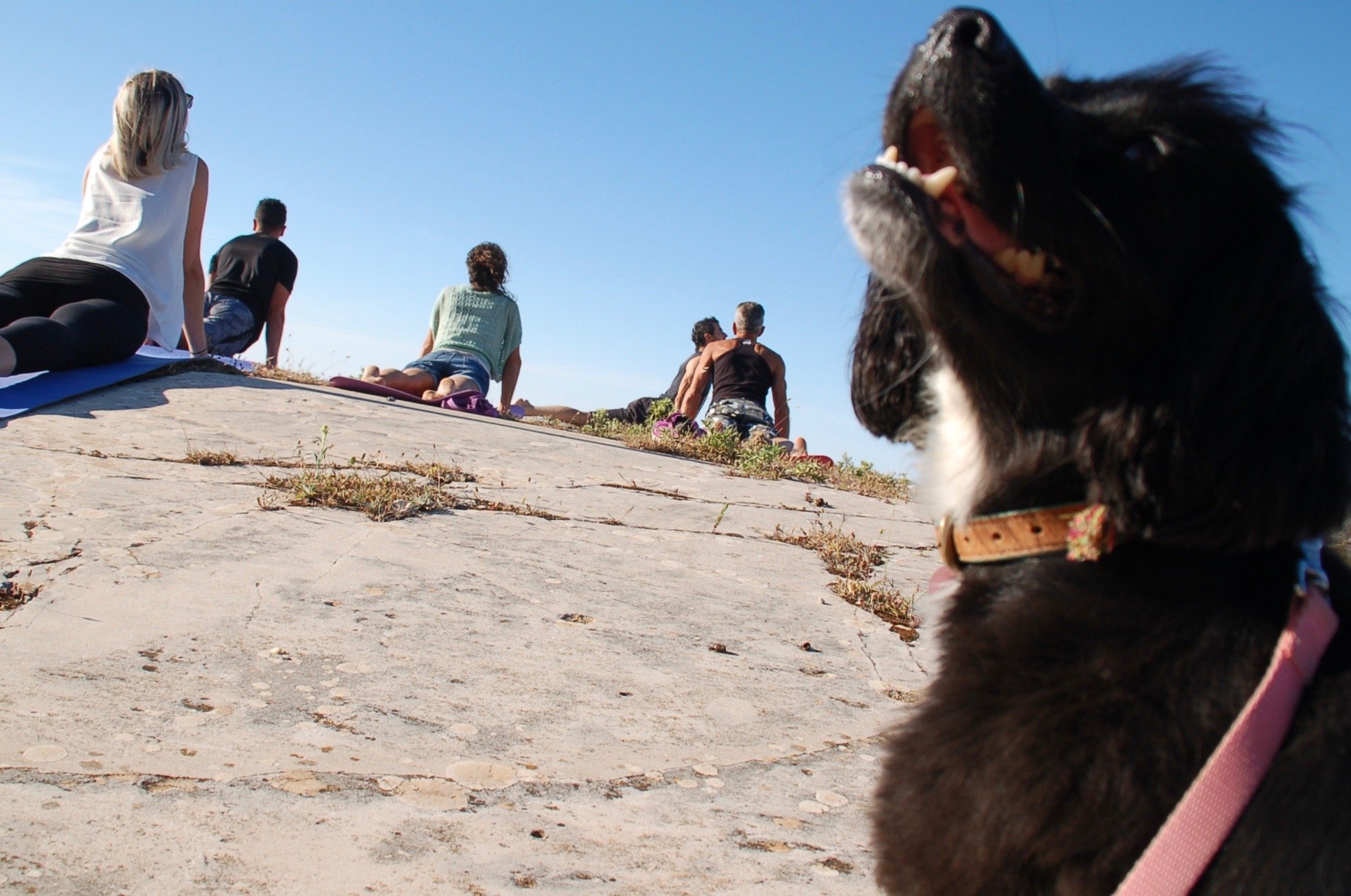 Neem deel aan een yogaretraite in Andalusië, bij Casa valle de Oro