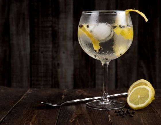 premium gin en tonic