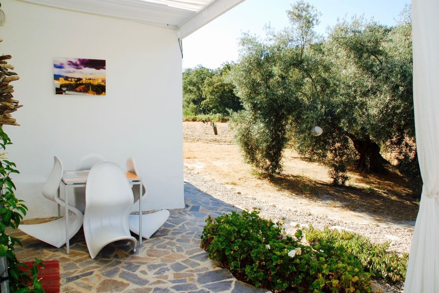 Buitenruimte van vakantiehuis bij Casa Valle de Oro met panoramisch uitzicht over de olijfgaard