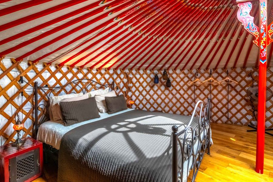 luxurious stay in ample yurt