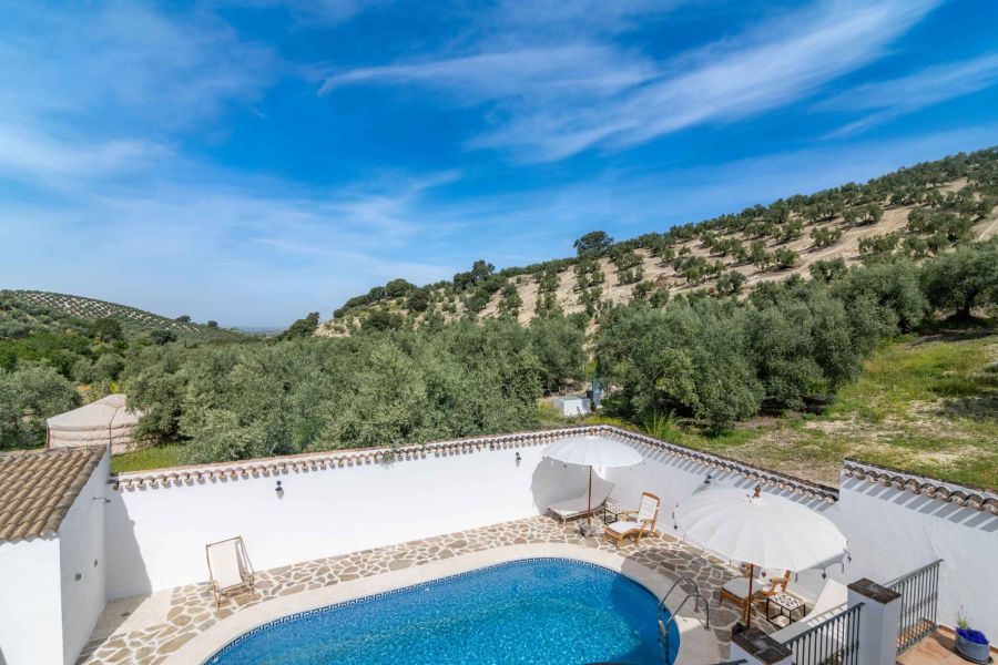 zicht vanop het dakterras op zwembad en olijfgaarden