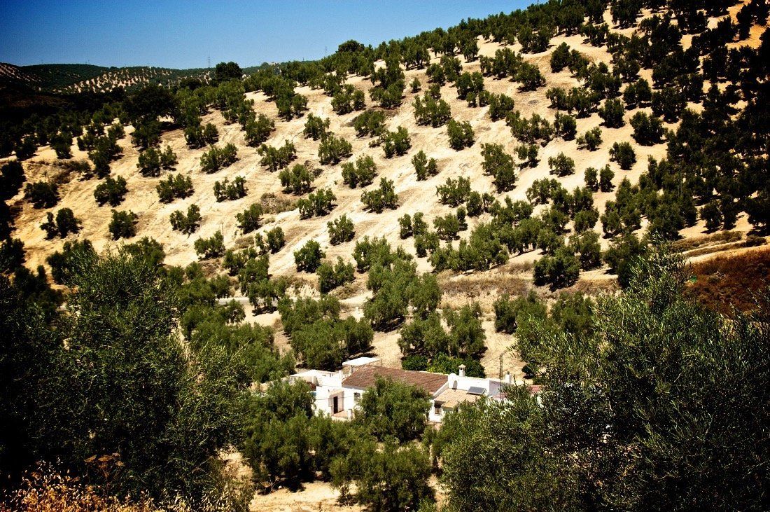 Rural toerisme in Andalusië