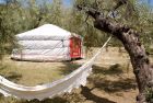 Glamping in the olivegrove in Malaga, Andalusia