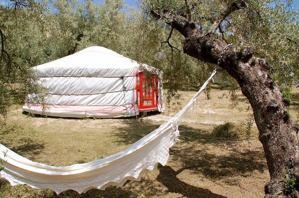 Glamping in the olivegrove in Malaga, Andalusia