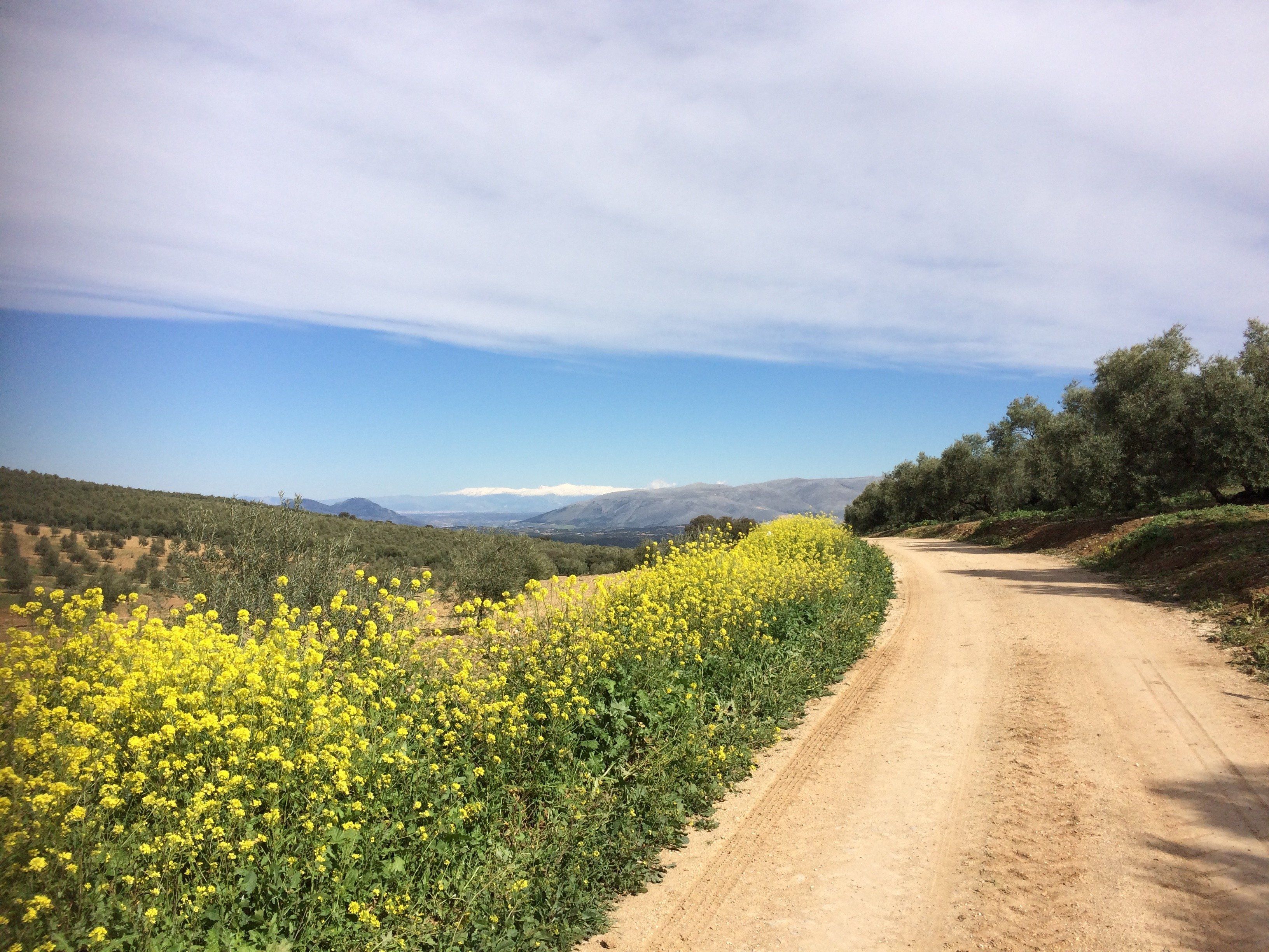 Sierra Nevada wandelen Andalusië Mozarabe
