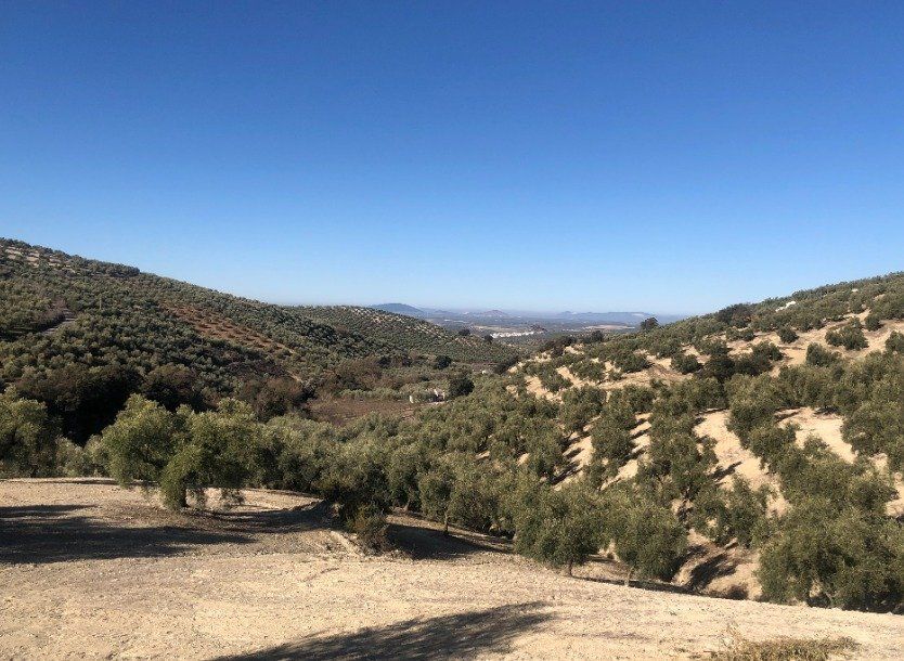 eco en ruraal toerisme in Spanje